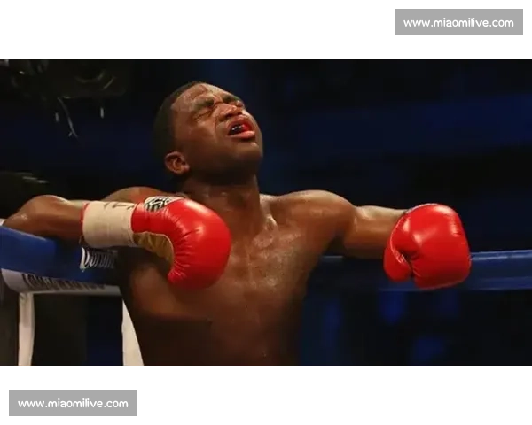 布罗纳对决麦达纳引爆拳坛风暴的速度力量巅峰之战经典传奇碰撞